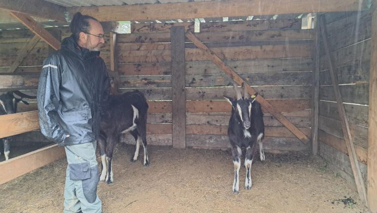 La Chèvrerie du Poney Fringant à Azerables : un modèle d&rsquo;agriculture durable en milieu rural