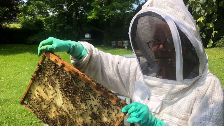 Choisir un miel de qualité : critères de sélection recommandés par l&rsquo;Institut National de l&rsquo;Apiculture