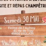 Portes ouvertes à la Ferme de l’Aulnoy : légumes d’été à découvrir à Viglain avec Alexandre