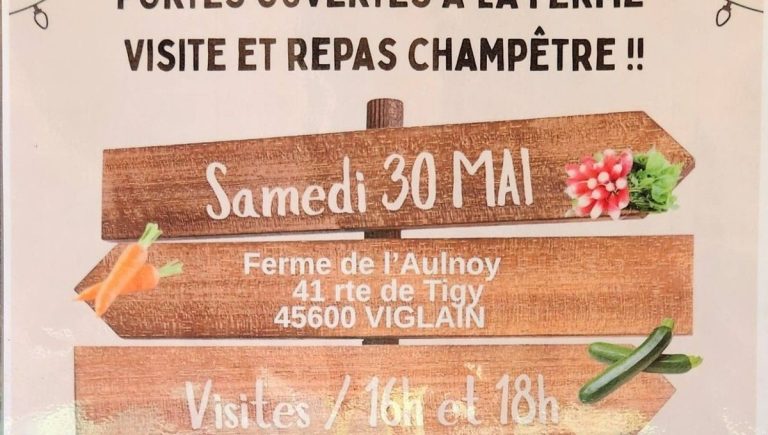 Portes ouvertes à la Ferme de l’Aulnoy : légumes d’été à découvrir à Viglain avec Alexandre