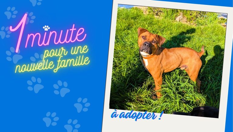 Un Scoop comme ça, vous n&rsquo;en verrez pas tous les jours !