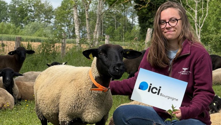 Alexia Chevallier : Redécouverte de la laine à Marcenay