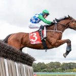 Quinté à Auteuil du 17 mai : pronostics d&rsquo;Hervé Fortin pour la course de chevaux.