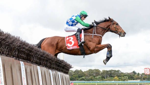 Quinté à Auteuil du 17 mai : pronostics d&rsquo;Hervé Fortin pour la course de chevaux.