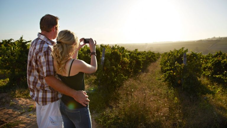 Gironde : croissance de l&rsquo;offre œnotouristique stimulée par l&rsquo;augmentation des visiteurs.