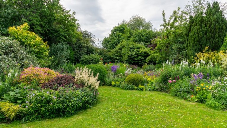 L&rsquo;utilisation de voliges dans les jardins améliore la gestion de l&rsquo;eau en France.