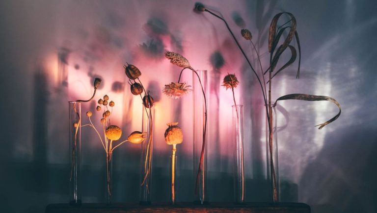 La botanique des amours perdues : Claire Elder explore les relations humaines à travers la nature