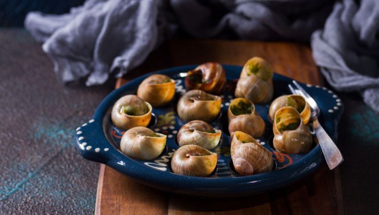 Test des escargots de Bourgogne : résultats d&rsquo;une étude sur leur qualité en France