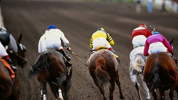 Pronostics hippiques d&rsquo;Hervé Fortin pour le Quinté à Chantilly le 19 mai 2023