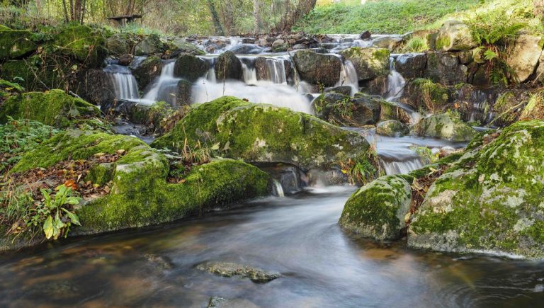 Fête de la nature au Moulin de Vaudevant : événements prévus les 23 et 24 mai 2026.