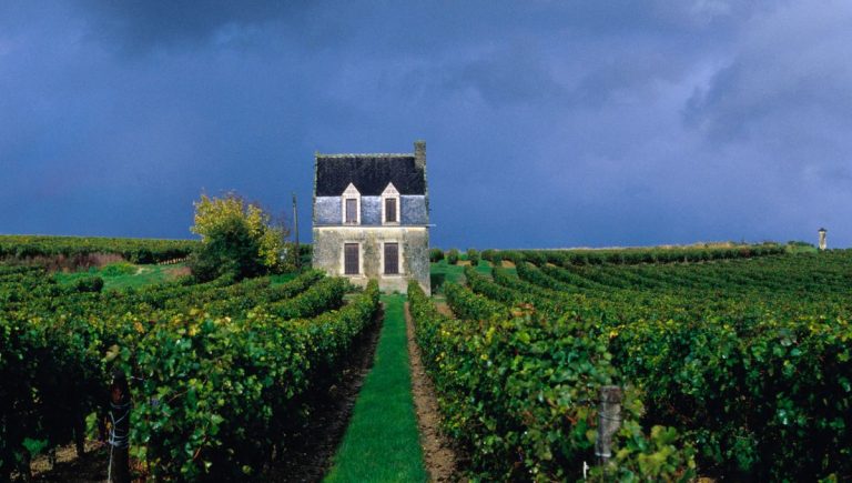 Balade à Bourgueil : Vin et Patrimoine