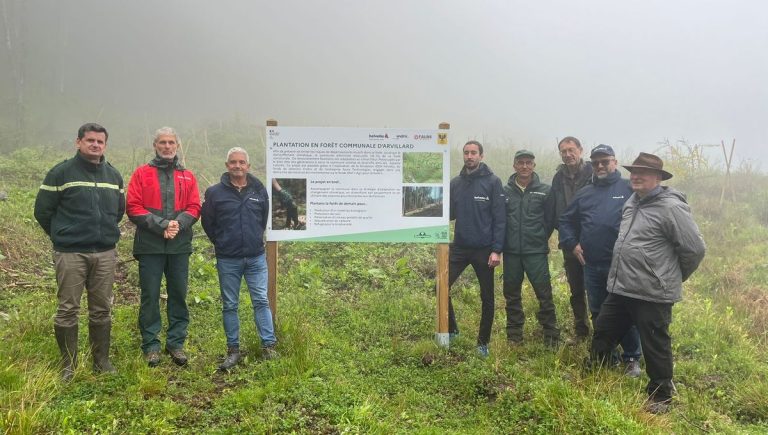 Arvillard : 1.800 jeunes arbres plantés pour restaurer une forêt affectée par les scolytes