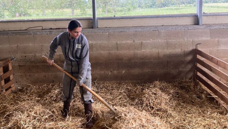 Colombe Philippoteaux, 17 ans, se forme aux métiers de l&rsquo;élevage laitier en France.