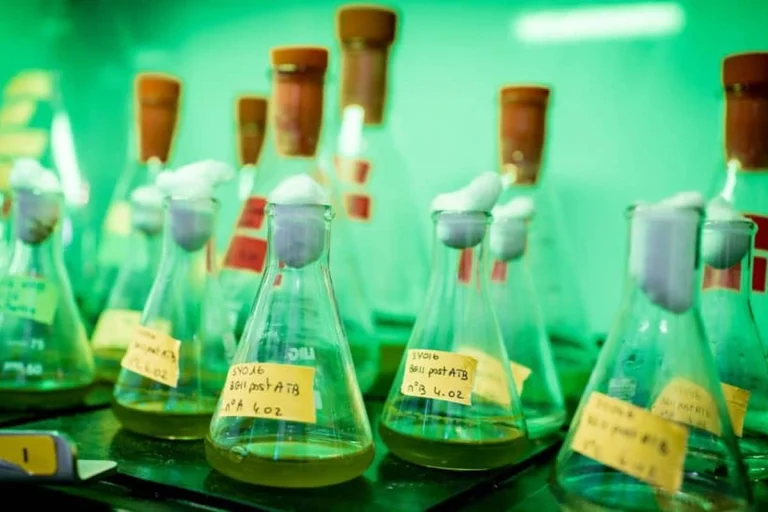 Syklea présente en 2026 une technologie de transformation du CO2 en carburant après 25 ans de recherche.