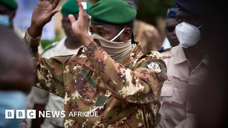 Le général Assimi Goïta devient ministre de la Défense au Mali