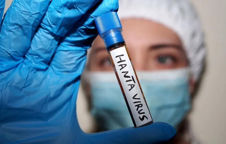 Hantavirus : des théories émergent sur les réseaux sociaux, rappelant le Covid-19.