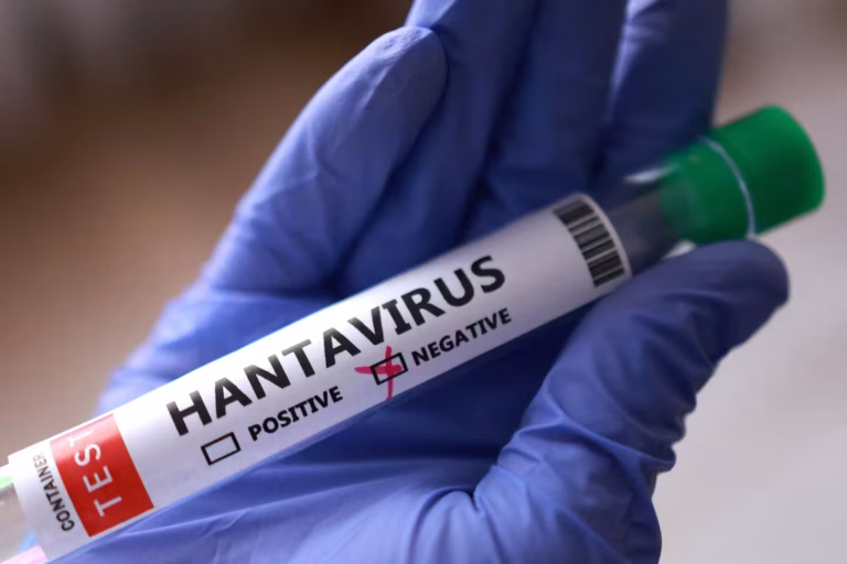 Hantavirus : comment les théoriciens du complot du Covid-19 recyclent leurs récits