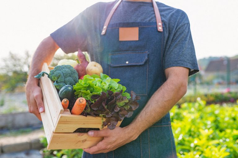 Ateliers de diététique dans l&rsquo;Eure pour promouvoir une alimentation saine accessible à tous