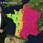 Amélioration des niveaux de pollens dans l&rsquo;ouest de la France grâce aux pluies du 2 mai