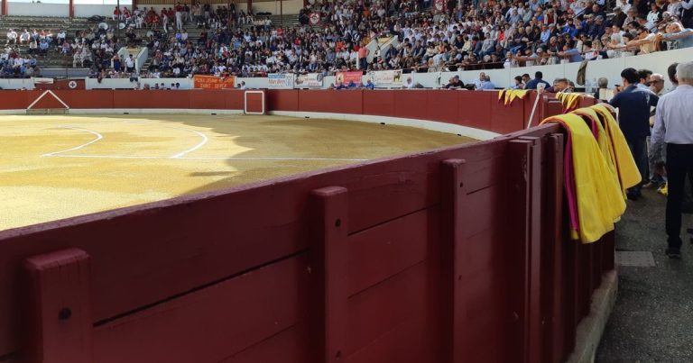 Novillada traditionnelle des Arsouillos à Aire sur l&rsquo;Adour : Ney Zambrano réalise un « tercio » de piques.