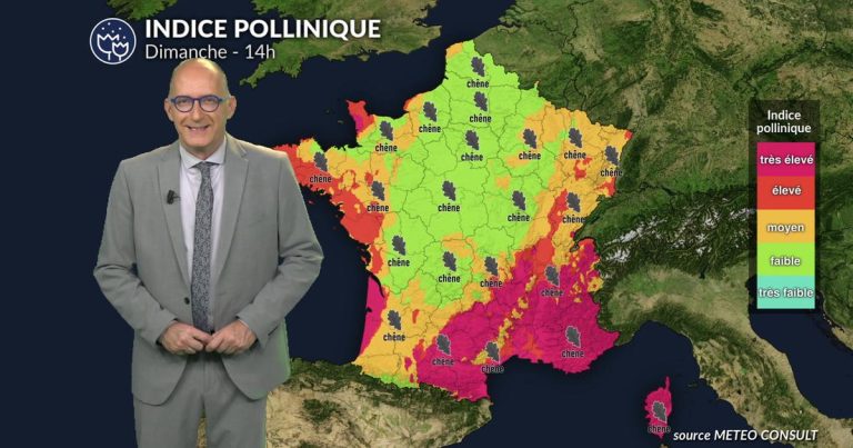 Pollens et allergies : les pluies réduisent le risque dimanche, sauf en est et sud-est.