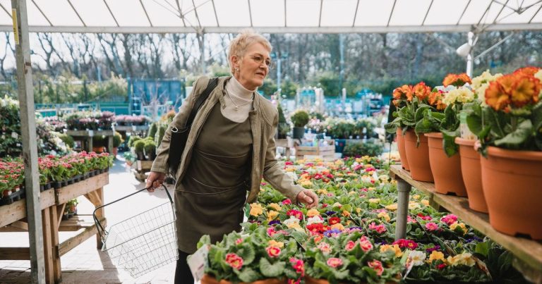 Cette semaine, des bons d&rsquo;achat jusqu&rsquo;à 250€ pour le jardin et la décoration en France.