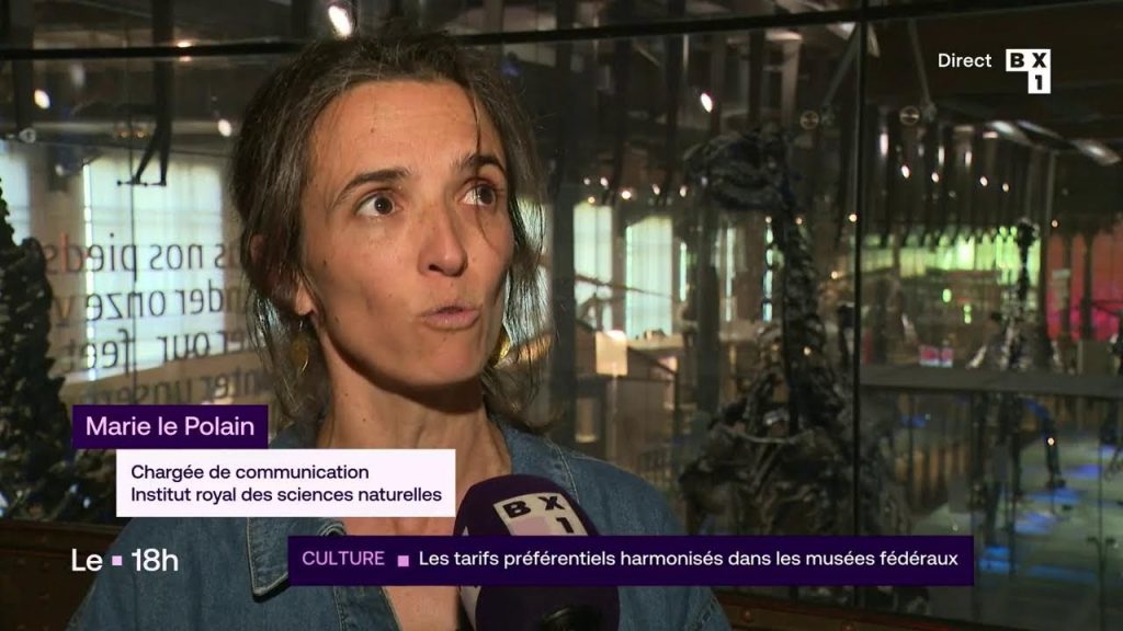 Grève des enseignants en France : perturbations dans les écoles publiques le 28 avril 2026.