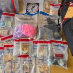 Trafic de drogue : deux jeunes hommes jugés à Niort après une saisie record de la police