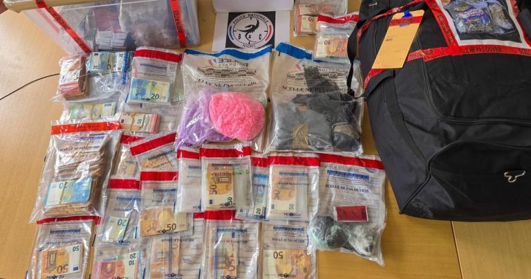 Trafic de drogue : deux jeunes hommes jugés à Niort après une saisie record de la police