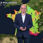 Bulletin pollinique : pluies au nord, risque de pollinisation élevé des cyprès au sud.