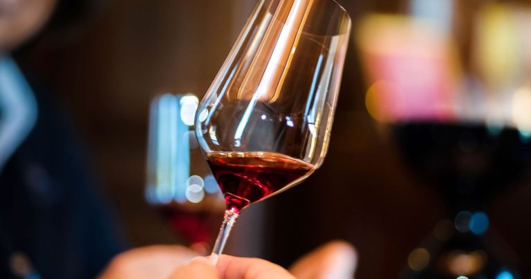 Salon des vins de Laval : dégustation de terroirs français à l’Espace Mayenne ce week-end.