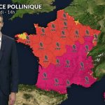 Hausse de l&rsquo;indice pollinique en France ce vendredi en raison des éclaircies.