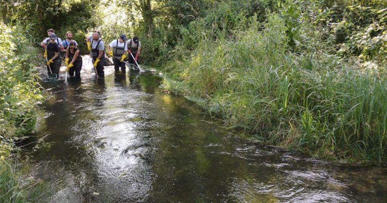 Pollution de la rivière de L&rsquo;Œuf à Pithiviers : la justice enquête sur les responsables en 2024.
