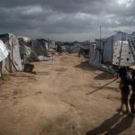 Des enfants de Gaza signalent des morsures de rats dans leurs tentes de réfugiés.
