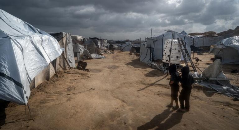 Des enfants de Gaza signalent des morsures de rats dans leurs tentes de réfugiés.