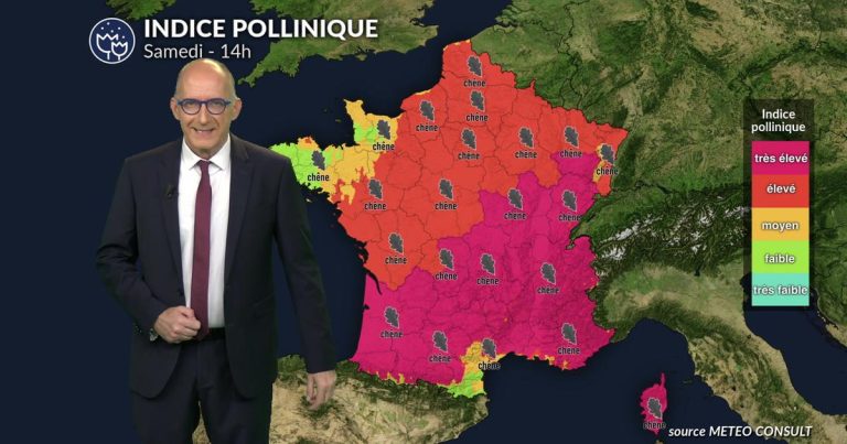 Pollens et allergies : des pluies et orages offrent un répit aux allergiques en France dimanche.