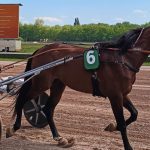 Prix des Ducs de Normandie 2026 : Inexess Bleu remporte la compétition maritime.