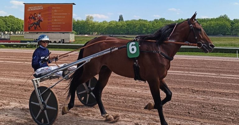 Prix des Ducs de Normandie 2026 : Inexess Bleu remporte la compétition maritime.