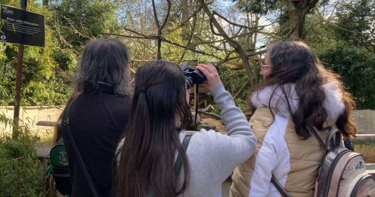 Le parc de Clères rouvre avec de nouveaux animaux et expositions après la fermeture hivernale.