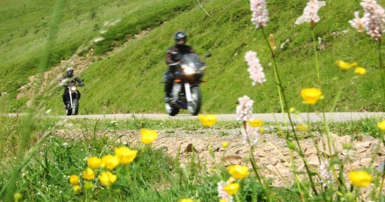 Pollution sonore constatée par une association sur la route des crêtes dans le Massif des Vosges