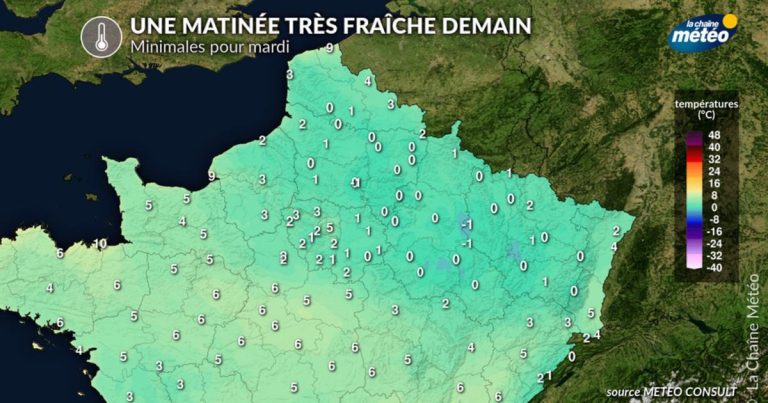 Les Saints de glace 2023 causent des dommages aux cultures en France et en Europe.