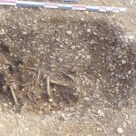 Découverte d&rsquo;un village vieux de 7000 ans dans la Marne par des archéologues français.