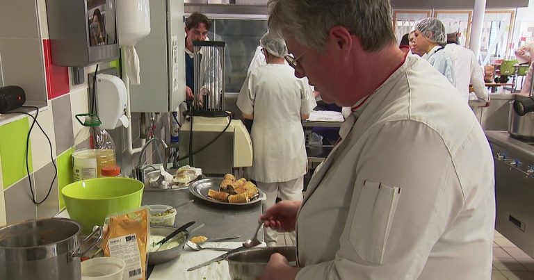 Restauration collective en Sarthe : les légumineuses font leur retour sur les plateaux.
