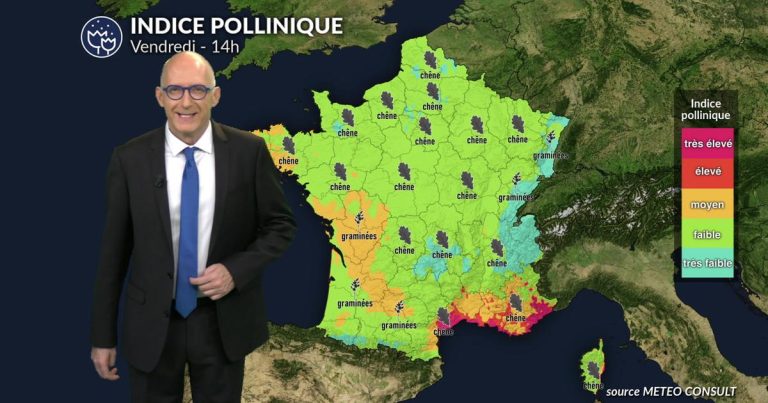 Pollens et allergies : la fraîcheur et les giboulées réduisent le risque allergique en France vendredi.