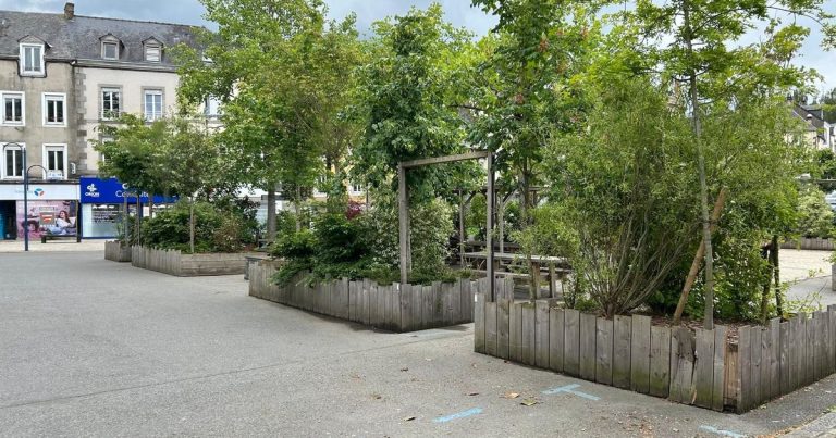 La municipalité de Mayenne dévégétalise la place Clémenceau, entravant l&rsquo;économie locale.