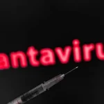 Pourquoi autant parler du hantavirus si le risque est faible ?