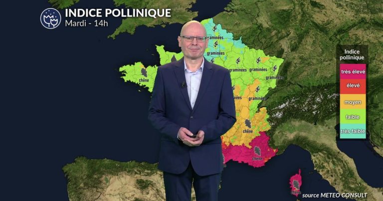 Risque maximal de pollens dans le sud de la France, le nord sous la pluie ce mardi.