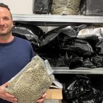 Interdiction des produits alimentaires au CBD : conséquences pour un producteur du pays de Montbéliard