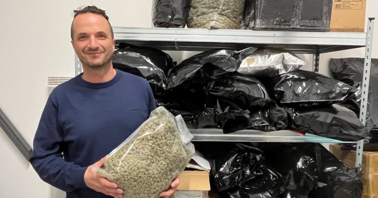 Interdiction des produits alimentaires au CBD : conséquences pour un producteur du pays de Montbéliard