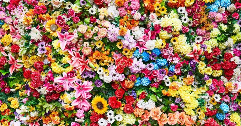 La Fête des fleurs de Sougères-en-Puisaye attire des visiteurs pour une journée d&rsquo;activités florales.